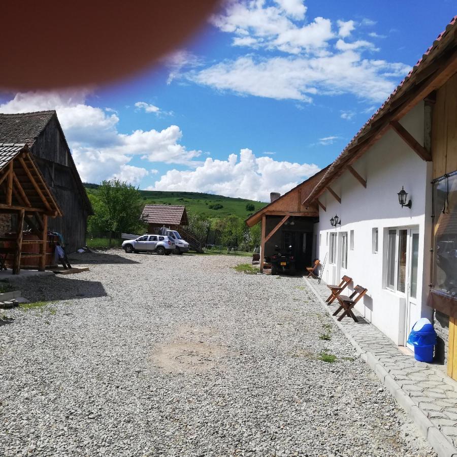 Pensjonat Casa Din Barcut Zewnętrze zdjęcie