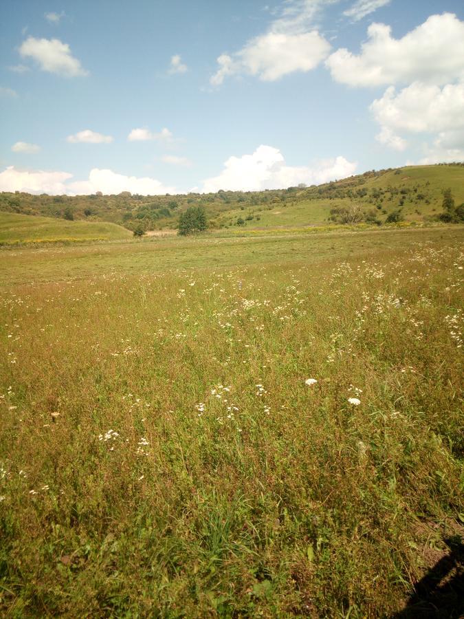 Pensjonat Casa Din Barcut Zewnętrze zdjęcie