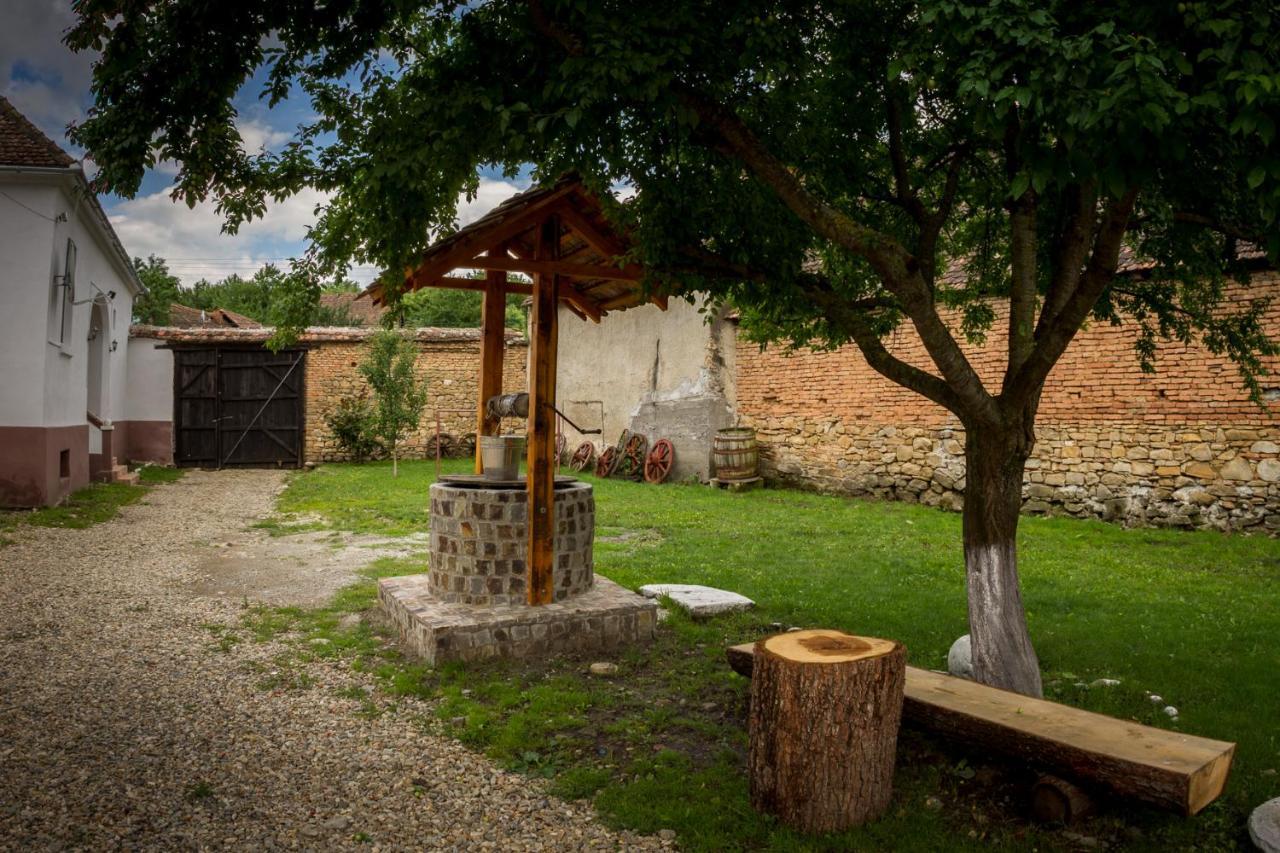 Pensjonat Casa Din Barcut Zewnętrze zdjęcie