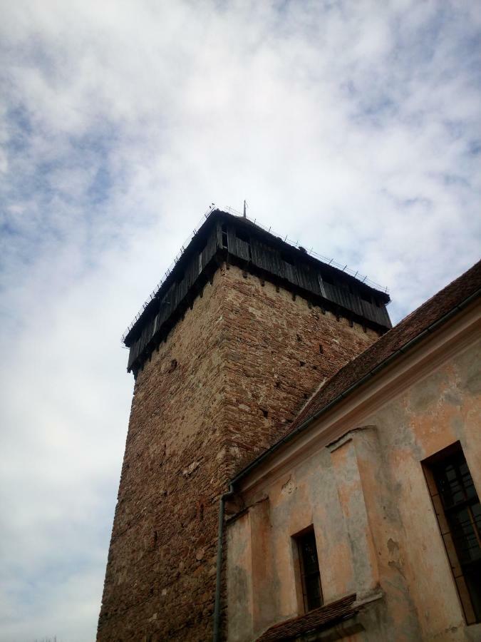Pensjonat Casa Din Barcut Zewnętrze zdjęcie