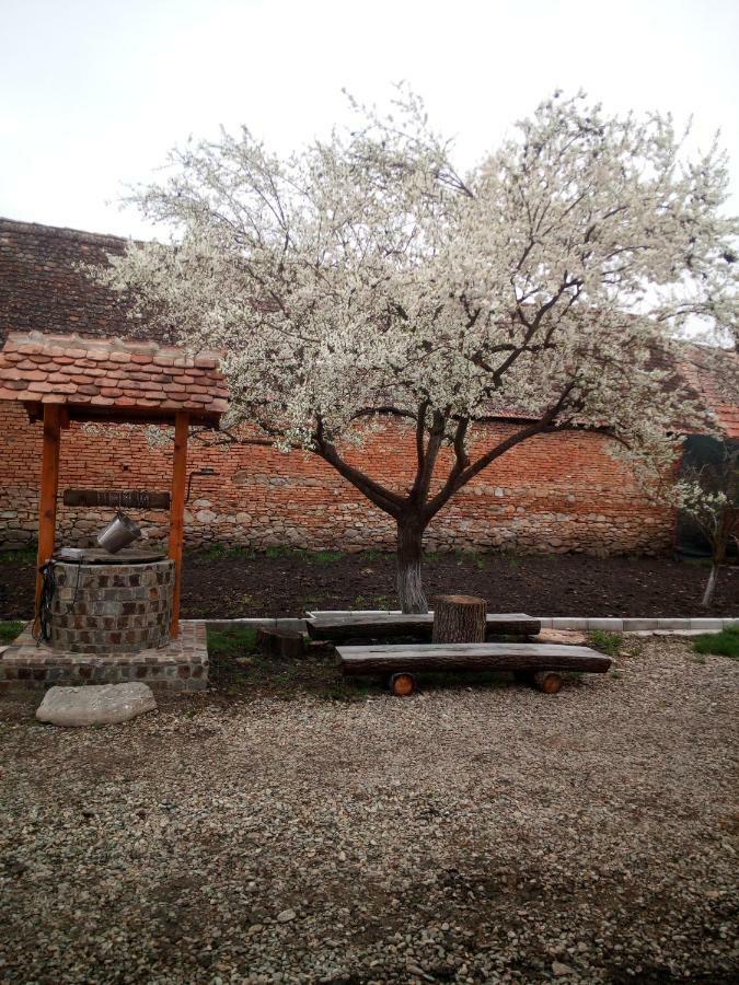 Pensjonat Casa Din Barcut Zewnętrze zdjęcie